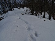 70 Rientro alla Forcella Alta seguendo la variante del 571 del Monte Picchetto 